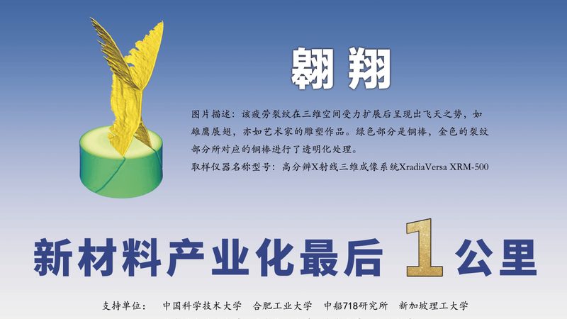 烘焙防腐剂与保鲜剂：功能与区别解析