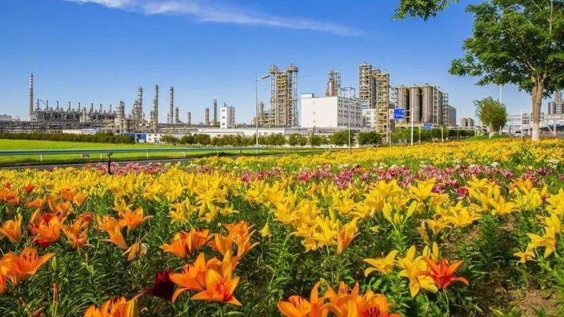 无机化工原料重金属检测：样品量为何如此关键？**