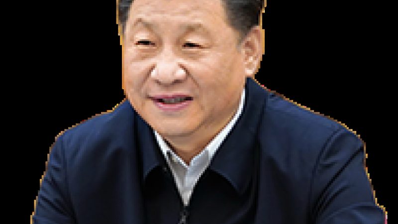 无机化工原料选型，如何把握关键要素？**