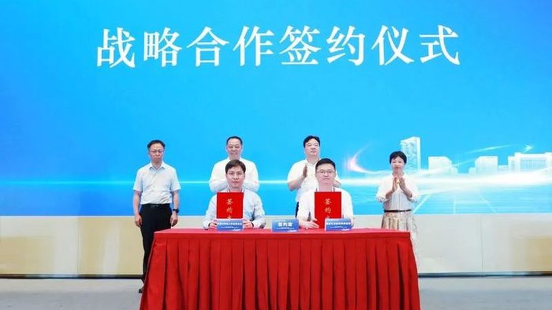 新型轻质吸能材料：性能解析与选型要点**